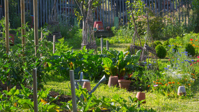 Plantes rares et Jardin naturel