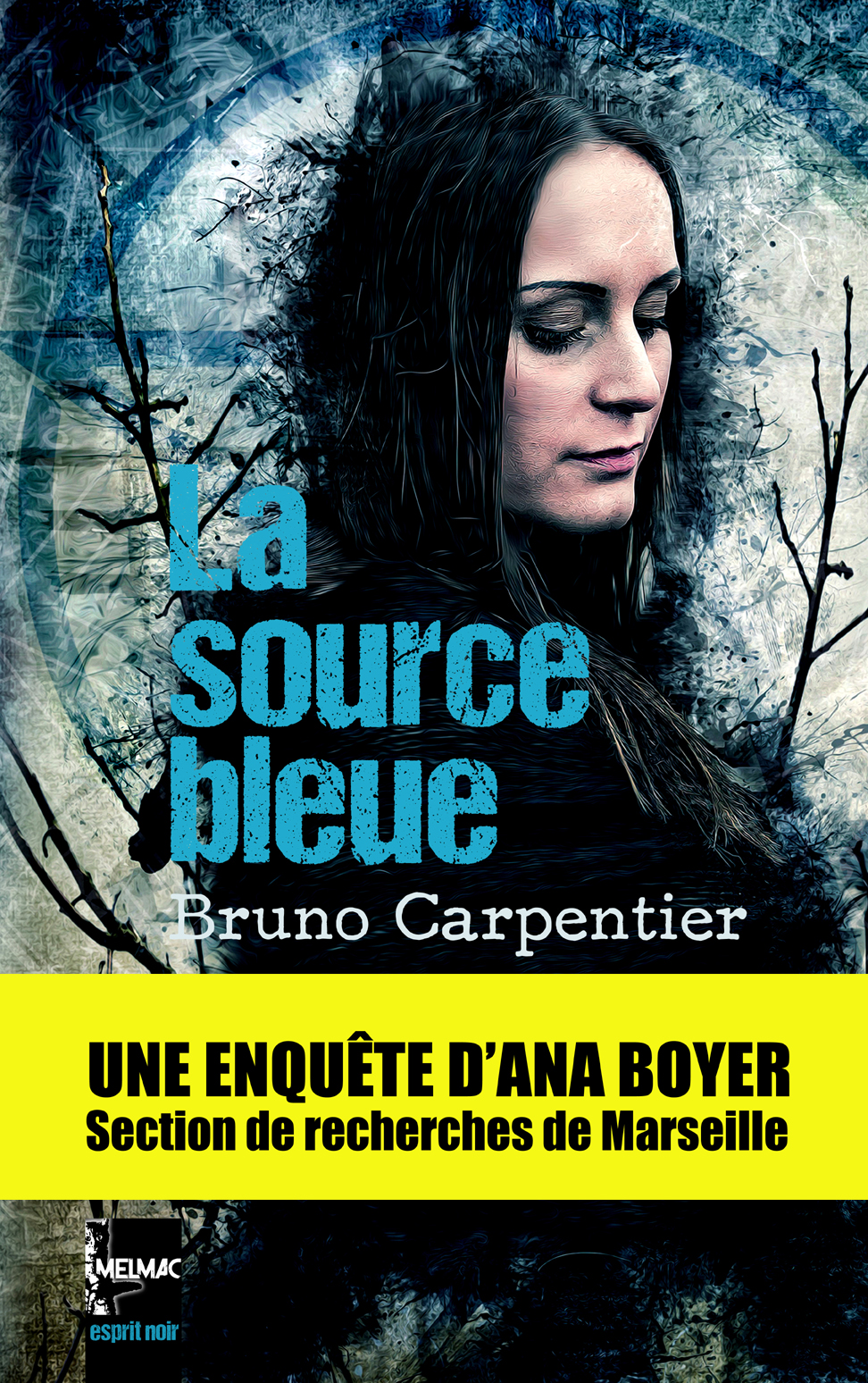 Bruno carpentier « la source bleue »