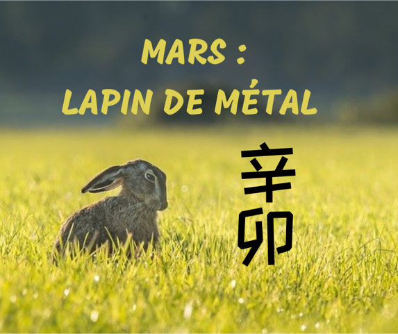 Delphine Garnier le signe du mois : Lapin de métal