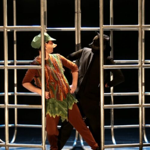 FABRIK'THEATRE - Peter Pan et tu t'envoles - 11h40 Cie Théâtre du Kronope