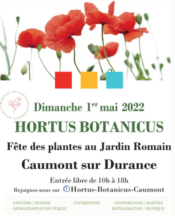 Hortus Botanicus la fête des plantes.