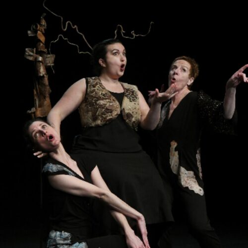 Cabaret des Arbres - Théâtre de l'Atelier Florentin du 4 au 25 juillet à 22h