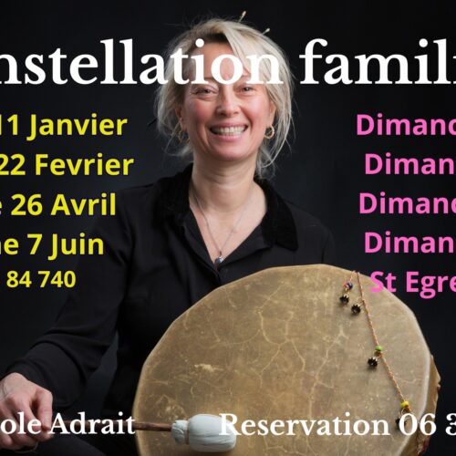 Année 1 et constellations familiales avc Carole Adrait