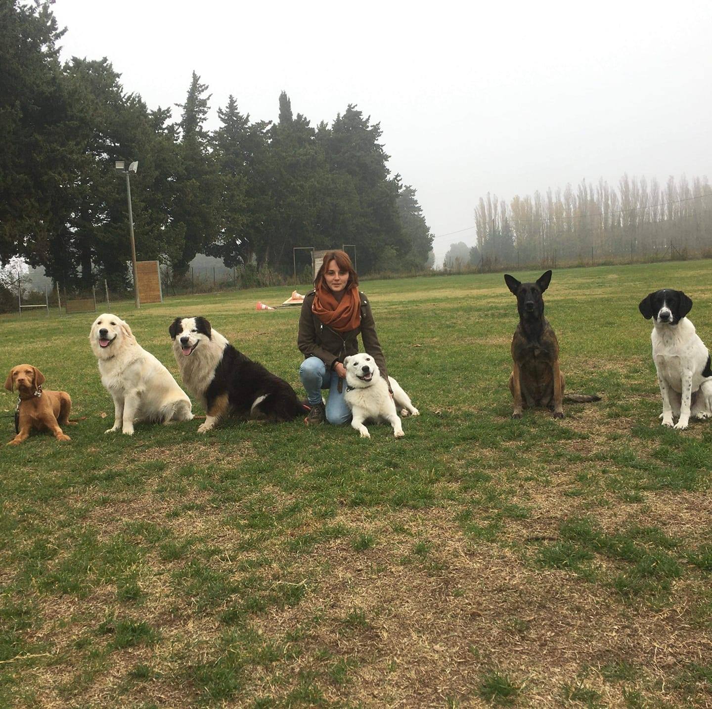 Journée portes ouvertes avec « Le champ des chiens » le 10 Juillet à Pernes-les-Fontaines