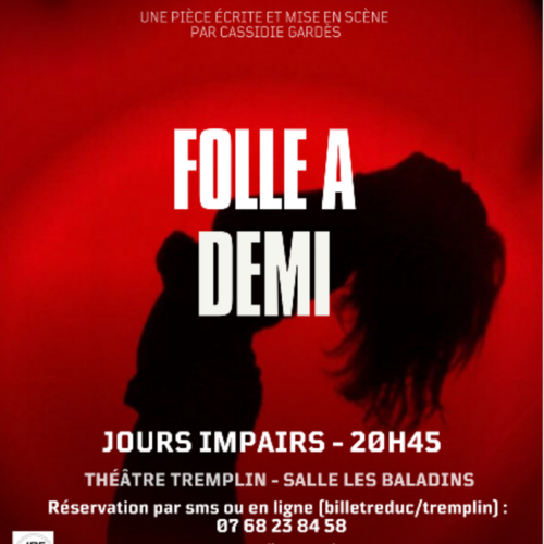 Folle à Demi 20H45 au théâtre Tremplin