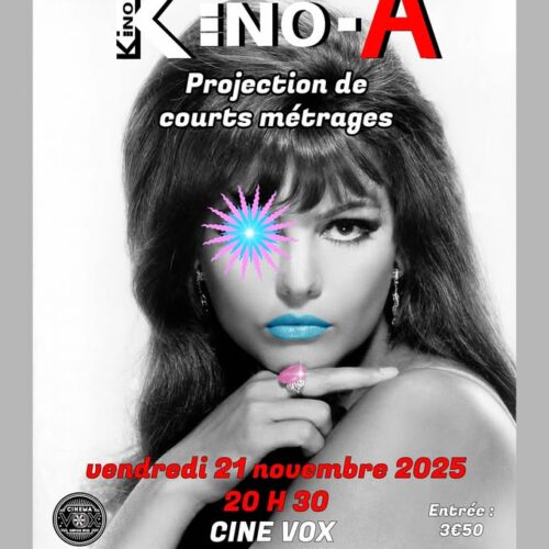 Kino-A à Avignon, découvrez les réalisations de Patrick Seminor et Richard Cornu...