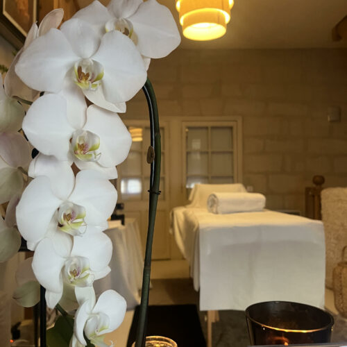 Oleazen un moment bien-être d'exception à Villeneuve-les-Avignon