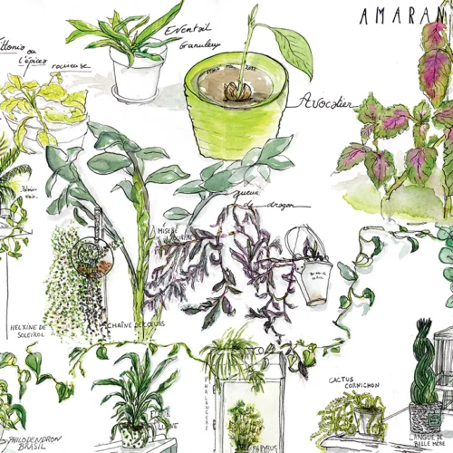 Mathilde Guillot carnettiste de voyage dans Echappées Belles Avignon