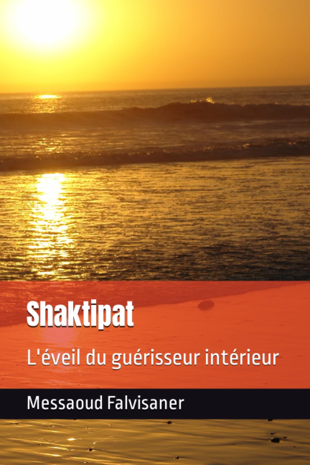 Shaktipat, l’éveil du guérisseur intérieur avec Messaoud Falvisaner